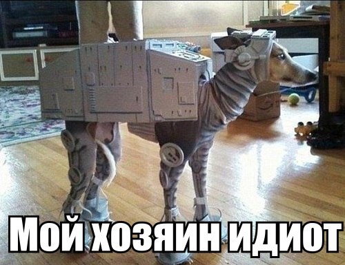 ,  . <a href=