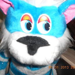 �������, ������������, 43 ����