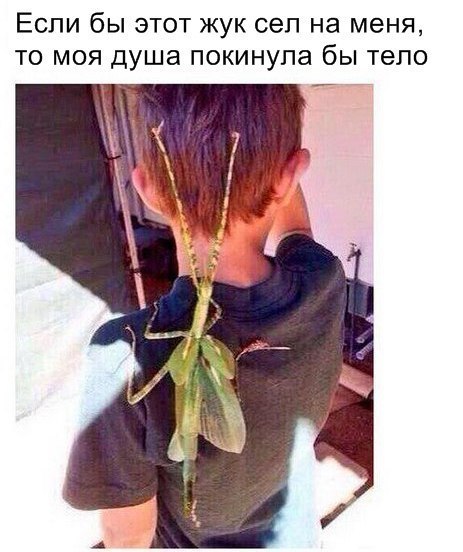   | , ,  - 6  2015  05:05