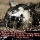 ���� Rok76i, �����-���������, 50 ��� - ��������� 24 ������� 2014 � ������ �������