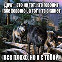 ���� ����� �������������, �����������, 41 ��� - ��������� 13 ������� 2015 � ������ ������ ��������