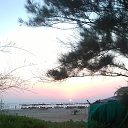 ���� Truvisiona, ������, 57 ��� - ��������� 12 ������� 2015 � ������ ���� ����������