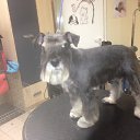 ���� �������, ������ - ��������� 12 ������ 2015 � ������ ���� ����������