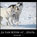 ���� ������, ��������� - ��������� 14 ������ 2015