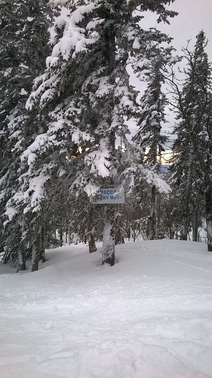   )))) ... ...... - 4