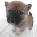 ���� ������, ������, 47 ��� - ��������� 12 ������ 2015 � ������ ������ ��������