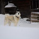 ���� ������, ��������, 45 ��� - ��������� 14 ������� 2014