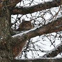 ������� ������������ �� ������� ���� ����������