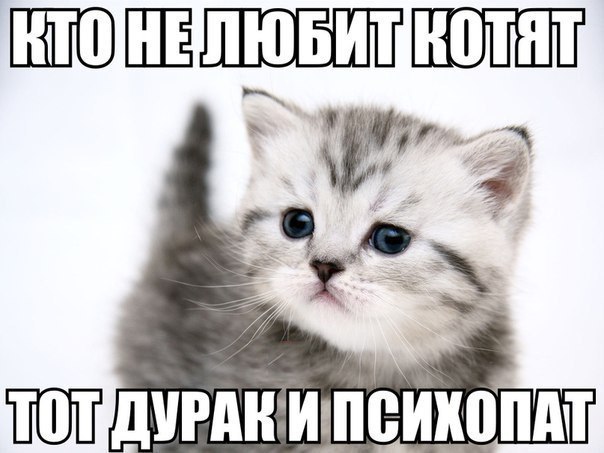    :-) - 25  2015  11:41