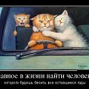 ���� ����, ����, 44 ���� - ��������� 3 ������ 2015 � ������ ������ ��������