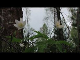 �������-�����...����� ������������ ��� ������� � �� ������ ������ ���������� ��� ������� � �� ������ ������ ��������� ��� ������� � ���� ������ ������������� ��� ������� � ����� ������ ����...