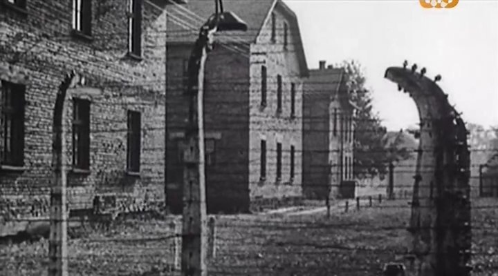   .  .(Four - Death Camp Treblinka: Survivor Stories) ... - 3