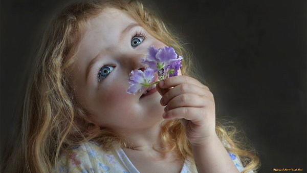 ★   ★ - 12  2015  21:56