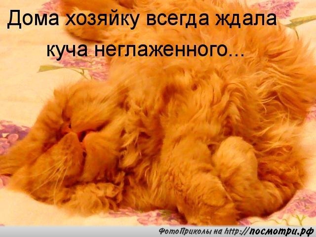       - 7  2015  05:02