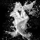  S. V. E. T. - L. A. N. A., , 49  -  14  2014    