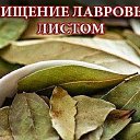 ���� �������, ������ - ��������� 17 ������ 2015 � ������ ������ ��������