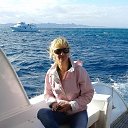 ���� ������, ���������� - ��������� 26 ������ 2015 � ������ ������һ