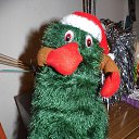  Gelya   20, , 57  -  25  2014    