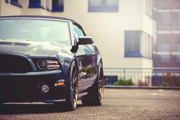 Ford Mustang Shelby GT500 - 3