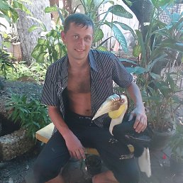 �������, �������������, 41 ���