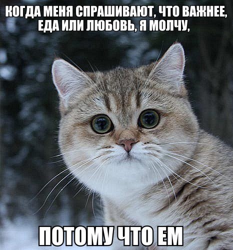       - 15  2015  22:33