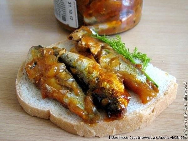    . -. : 55 .: . ... - 4