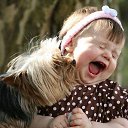 ���� �����, ���� - ��������� 1 ������ 2015 � ������ ���� ����������