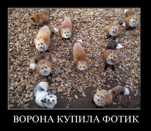Wow - 14  2015  06:05