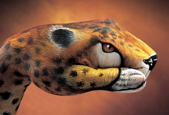   .    (Guido Daniele)   ... - 3