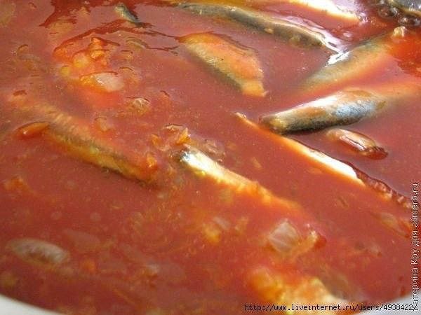    . -. : 55 .: . ... - 2