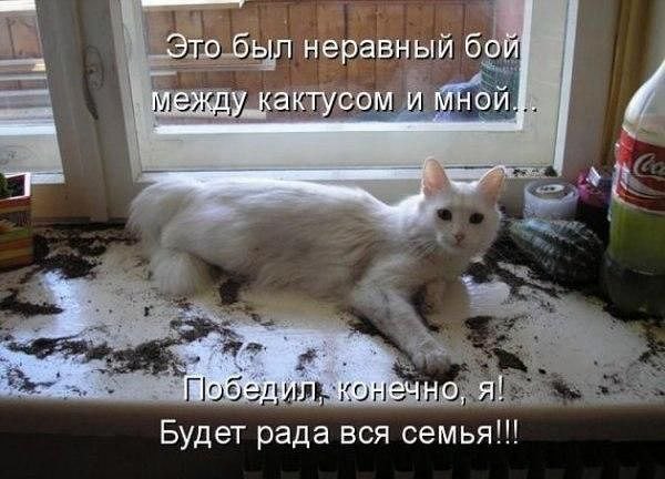       ! <a href=