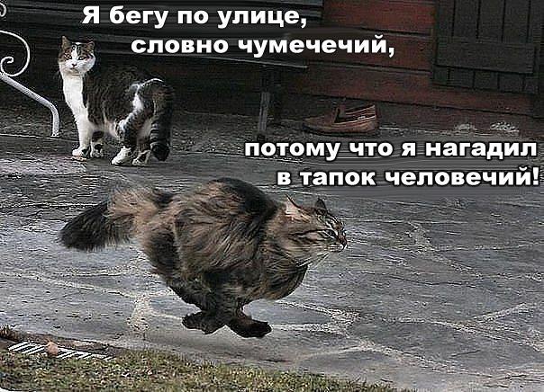    :-) - 10  2015  21:08
