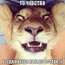���� ������ ������, ������, 48 ��� - ��������� 6 ������ 2015 � ������ ������ ��������