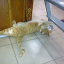 ���� �������, ������, 47 ��� - ��������� 26 ������� 2015