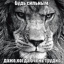 ���� Saparov R., ��������, 40 ��� - ��������� 10 ����� 2015 � ������ ���� ����������