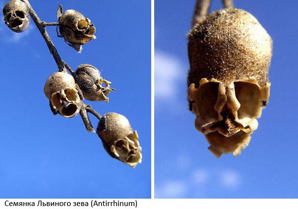   .      .     ... - 6