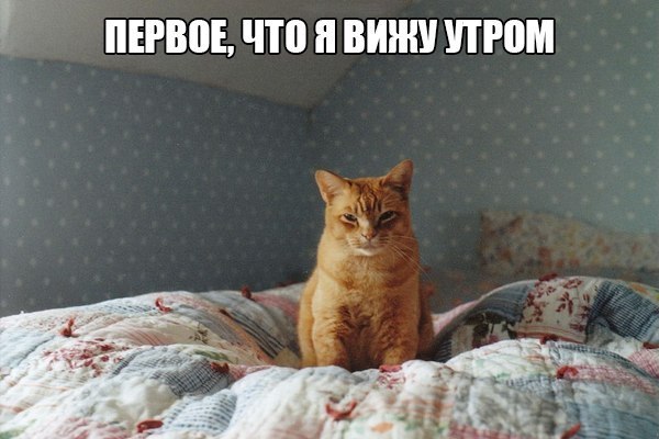       - 1  2015  17:32