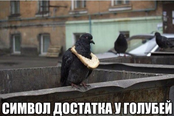 http://fotostrana.ru/public/238190/.http://fotostrana.ru/public/238190/http://fotostrana.ru/public/238190/