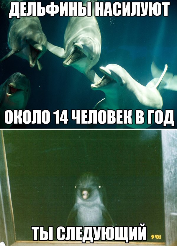  - 5  2015  13:39