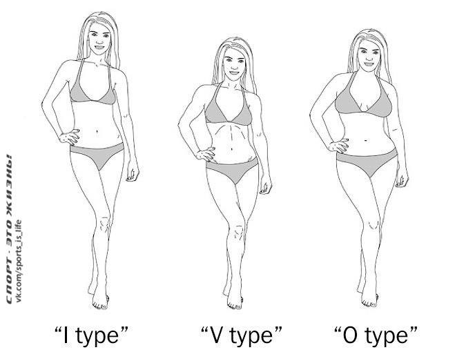 Идеальные параметры женской фигуры при росте. Тип строения телосложения у девушек. Средний Тип телосложения у девушки. Эндоморф девушка. Соматотипы человека у женщин.