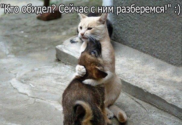 ������� ����� ����� :-) - 12 ������ 2015 � 09:40