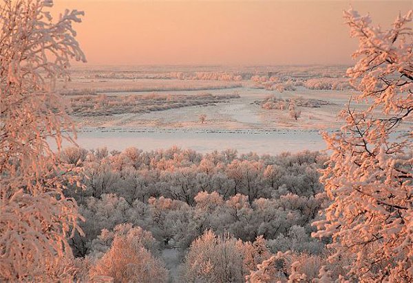 С Добрым утром! ...Ночью вьюга снежная Заметала след. Розовое, нежное Утро будит свет. Встали зори ...