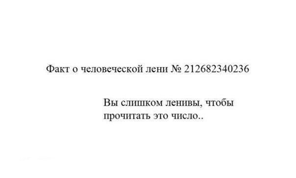   - 8  2015  23:04