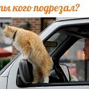 ���� ����, ���������, 60 ��� - ��������� 12 ���� 2015 � ������ ���� ����������