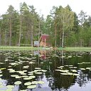 ���� ���������, ������, 55 ��� - ��������� 15 ���� 2015 � ������ ���� ����������