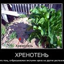 ���� �����, ������-��� - ��������� 6 ���� 2015 � ������ ������ ��������