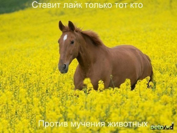  - 11  2015  00:01