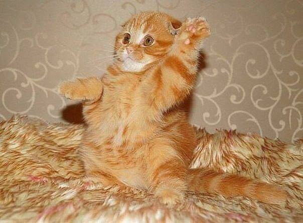-   ??? -   ! )))))