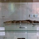  , , 46  -  11  2015       10  2015