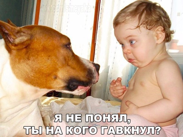 Art & Fun - 20  2015  17:12